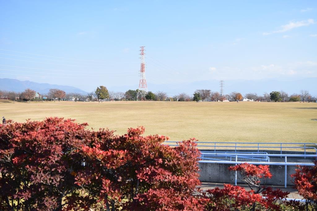 🌳 아카사카다이 종합공원 (드래곤 파크) 이미지 4